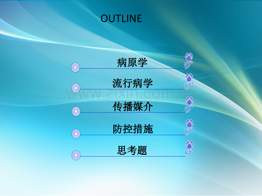 登革热培训(本单位).ppt_第2页