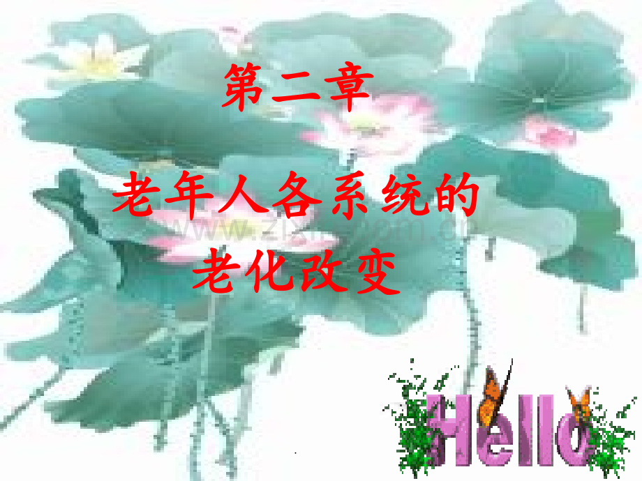 4老年人各系统的老化改变PPT课件.ppt_第1页