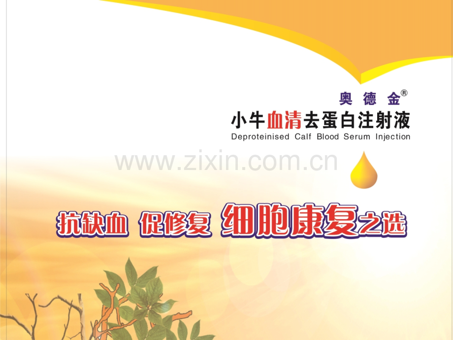 奥德金产品知识--放疗科PPT课件.ppt_第1页
