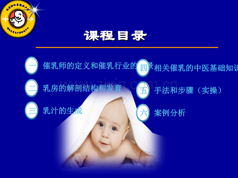 高级催乳师培训课程讲义ppt课件.pptx_第2页