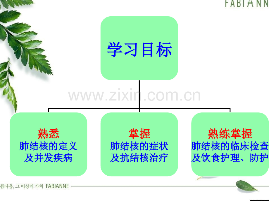 肺结核治疗及防护PPT课件.ppt_第2页