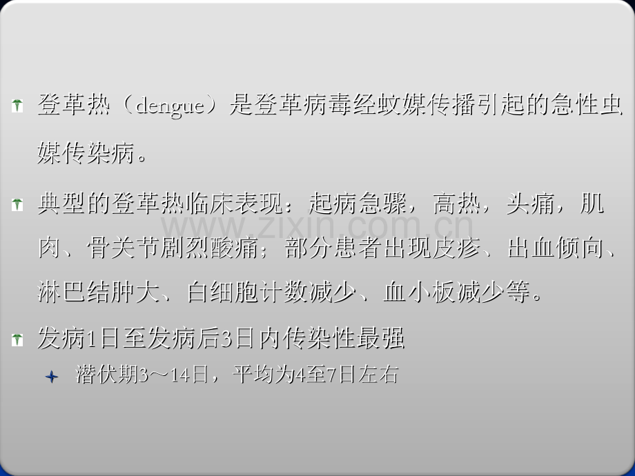 登革热的防治.ppt_第2页