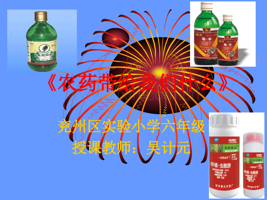 《农药带给我们什么》.ppt_第1页