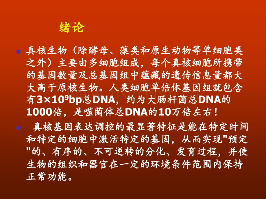 真核生物基因表达调控2PPT课件.ppt_第1页