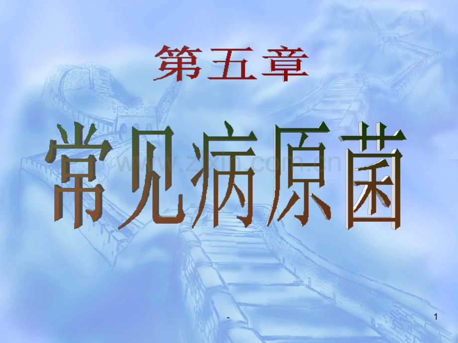 病原生物与免疫学基础第五章常见病原菌第二三节-肠道杆菌和弧菌属PPT课件.ppt_第1页