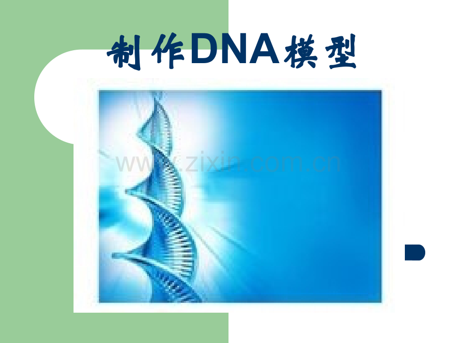 制作DNA模型.ppt_第1页