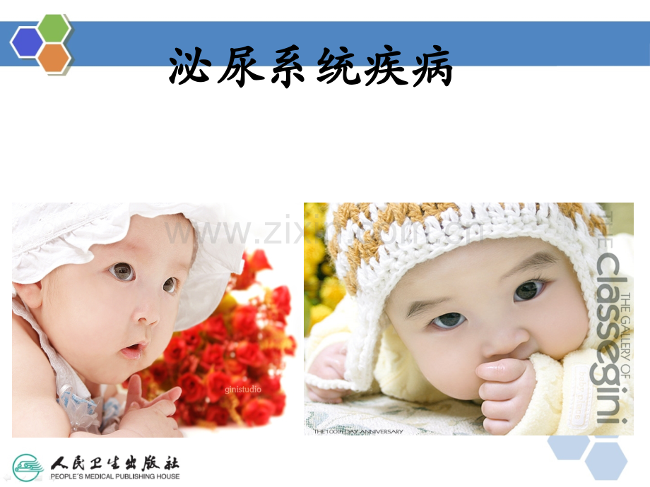 儿科学课件泌尿系统ppt课件.ppt_第1页