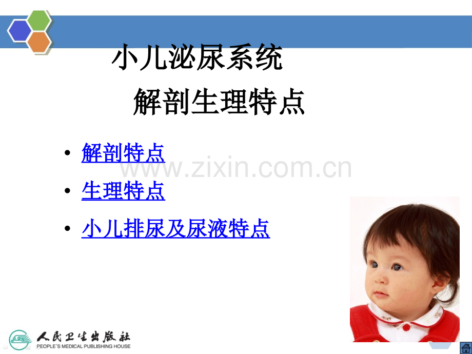 儿科学课件泌尿系统ppt课件.ppt_第2页