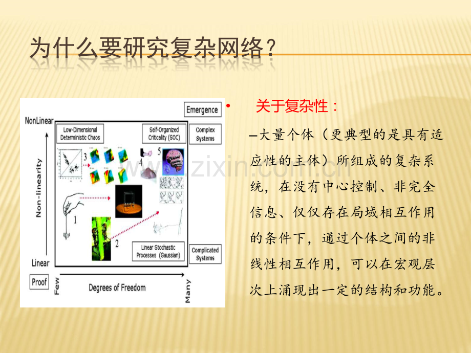复杂网络概述.ppt_第2页