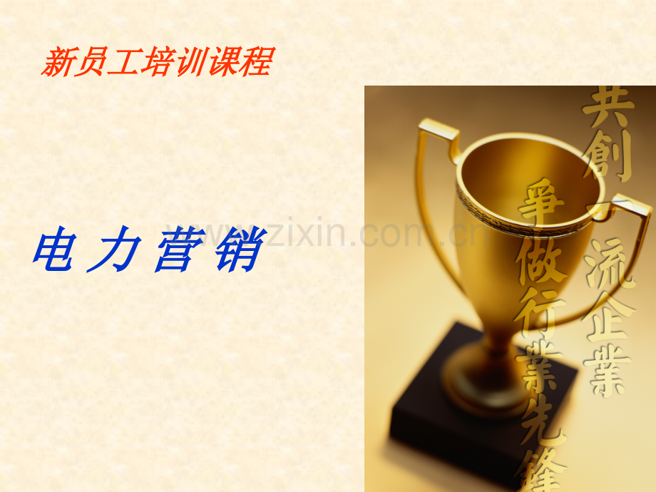 电力营销培训.ppt_第1页