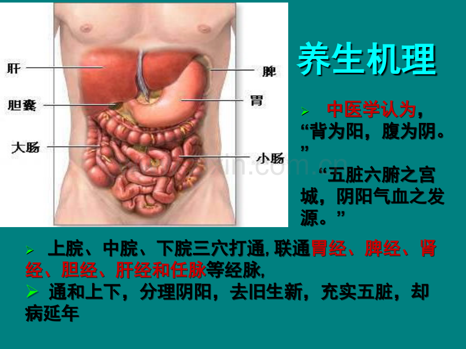 腹部推拿疗法.ppt_第2页
