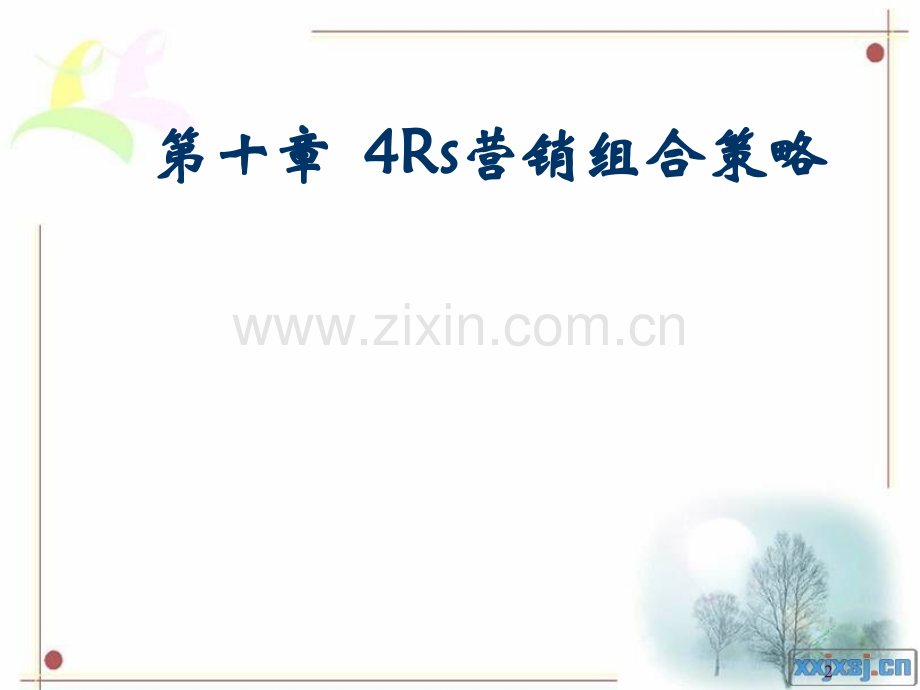 第十章Rs营销组合策略PPT课件.ppt_第2页