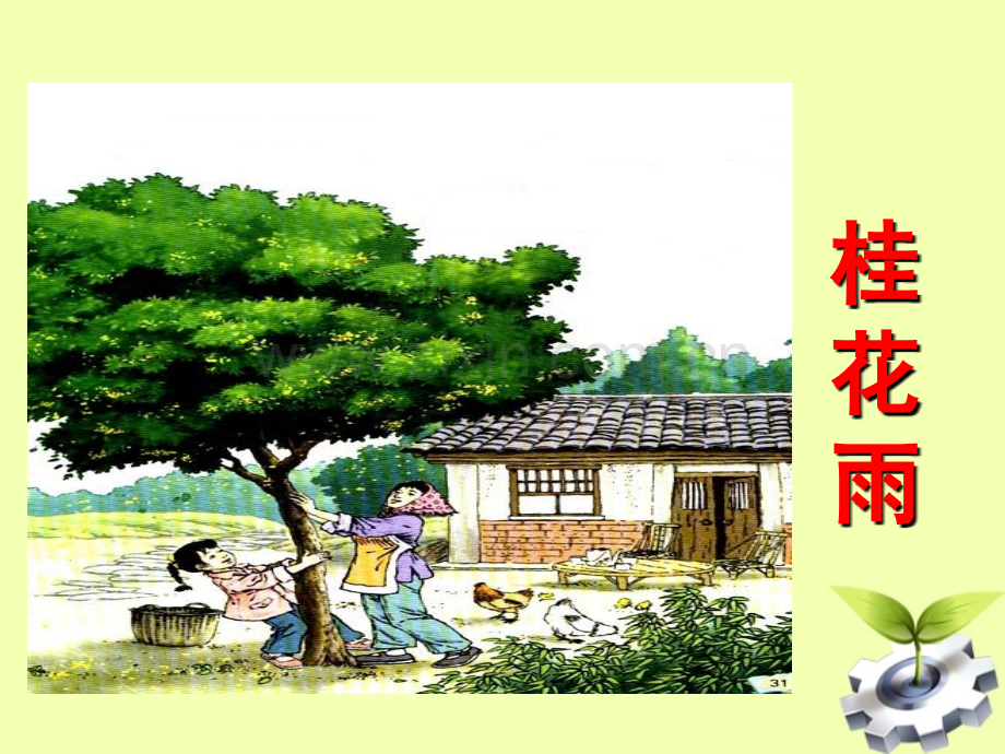 《07桂花雨》PPT课件终稿.ppt_第1页