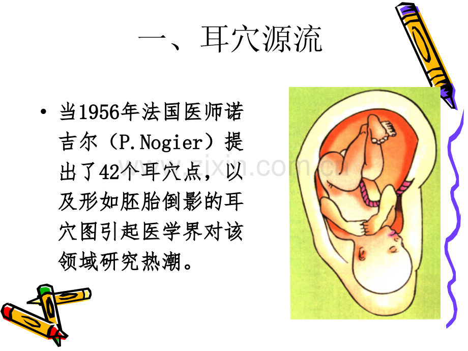 耳穴疗法讲课课件.ppt_第2页