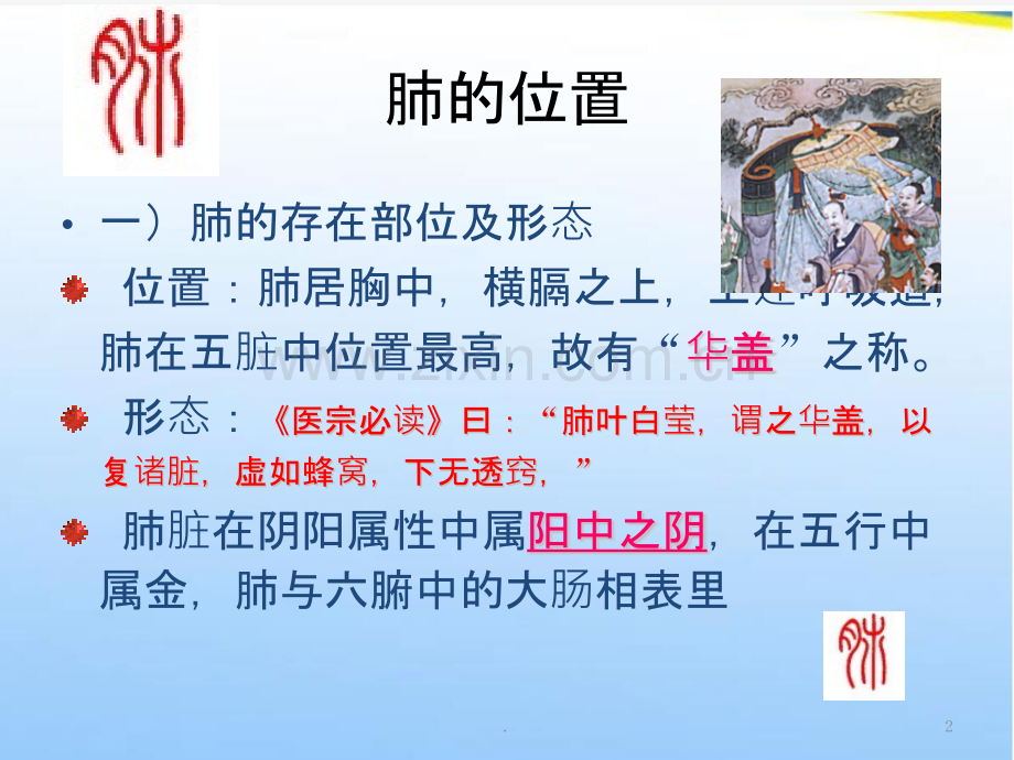 中医药学概论藏象学说肺与大肠.pptx_第2页