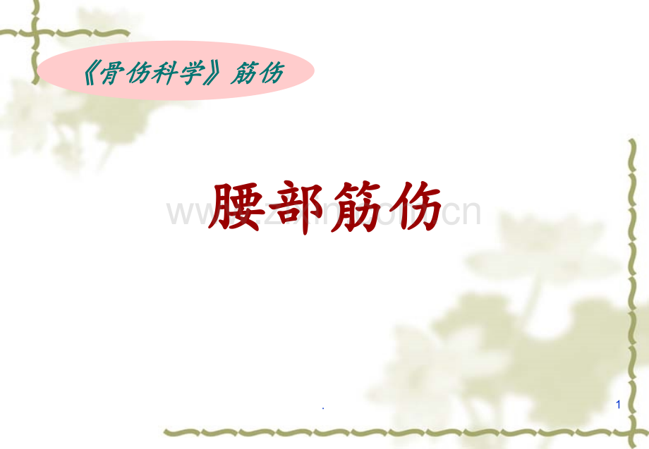 10、腰部筋伤PPT课件.ppt_第1页
