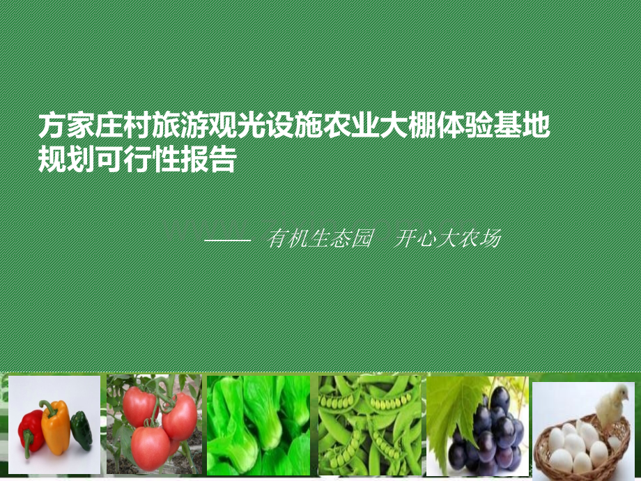 方家庄村生态农业休闲旅游体验基地规划可行性报告.ppt_第1页