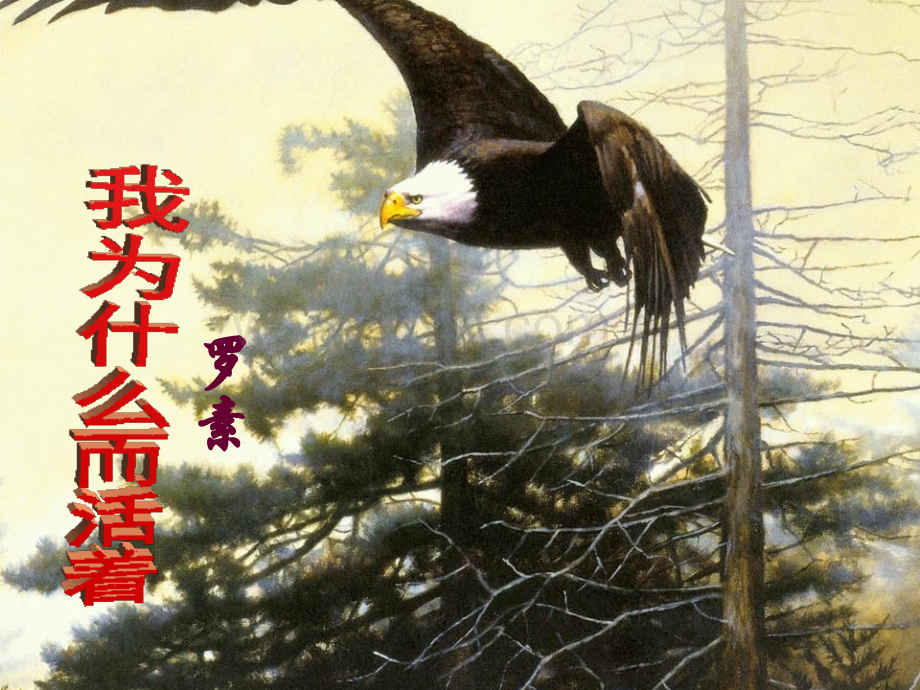 《我为什么而活着》课件PPT.ppt_第1页