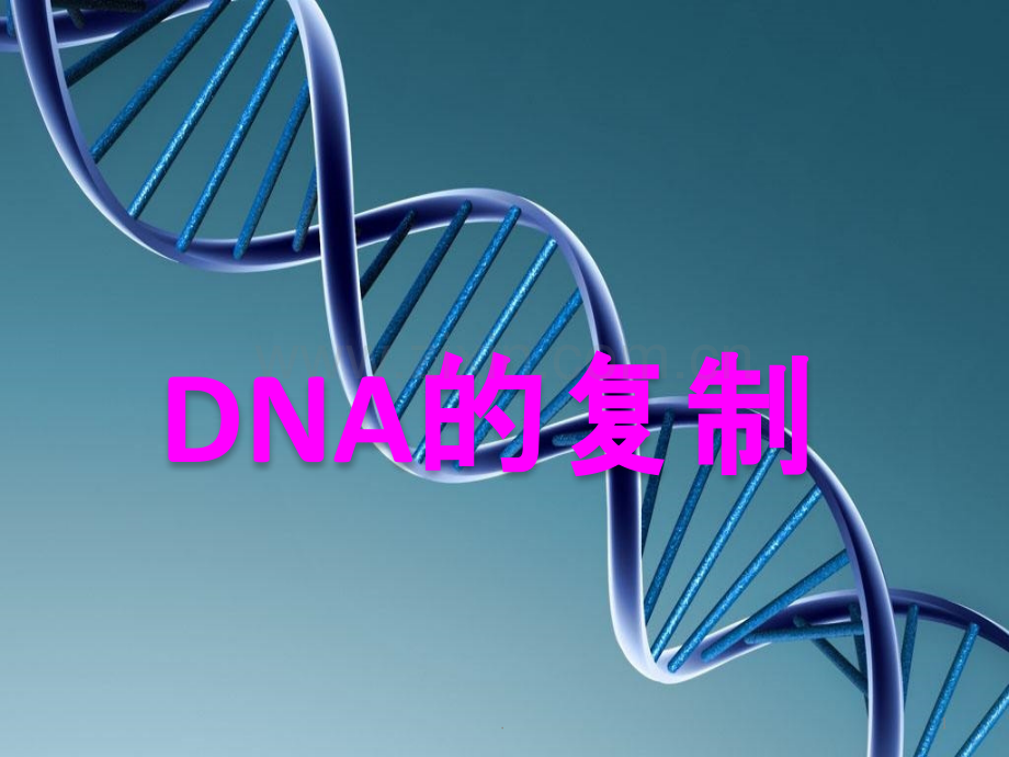 DNA复制PPT课件.pptx_第1页