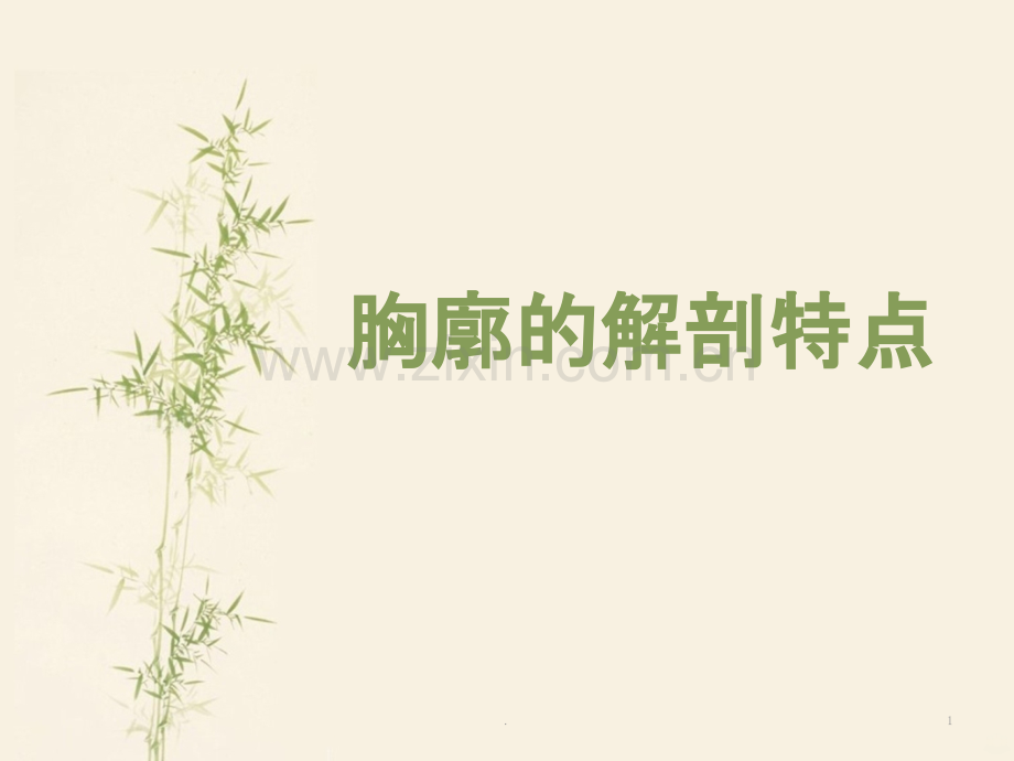 胸廓的解剖特点PPT课件.ppt_第1页