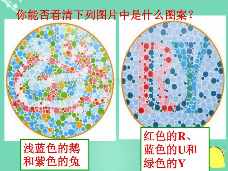 八年级生物上册人类优生与基文库.pptx_第2页