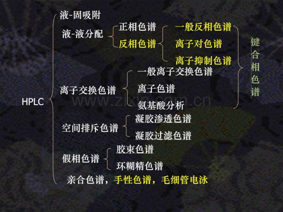x高效液相色谱法培训.pptx_第2页
