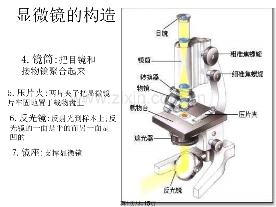 九年级科学显微镜使用.pptx_第1页