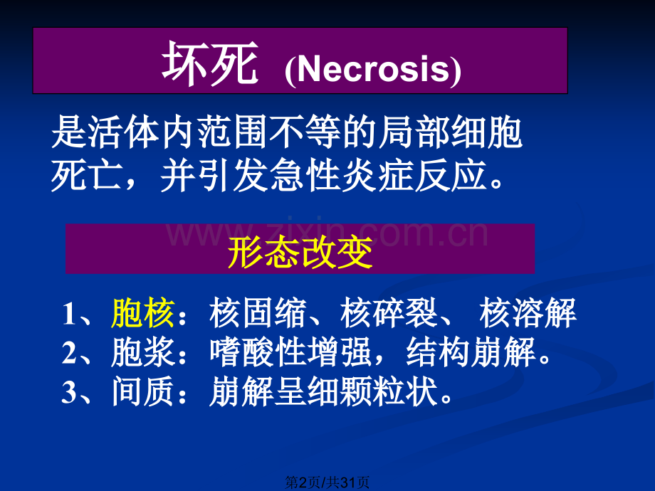 不可逆性损伤.pptx_第2页