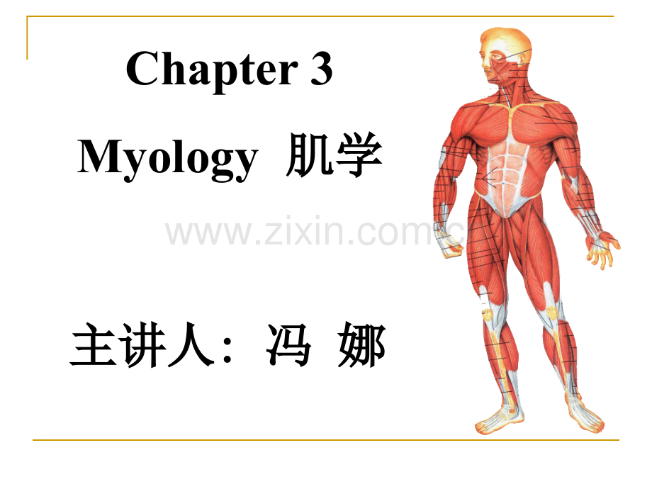 肌学2014.pptx_第1页