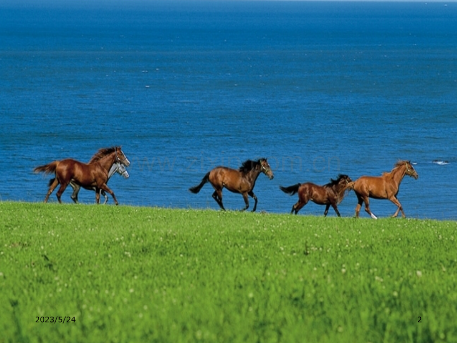 马说课件-公开获奖(2).ppt_第2页