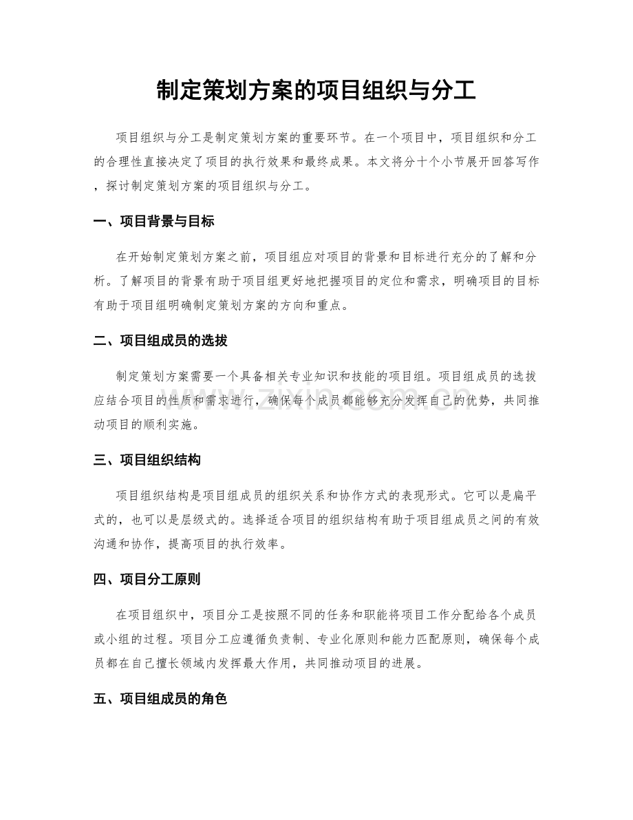 制定策划方案的项目组织与分工.docx_第1页