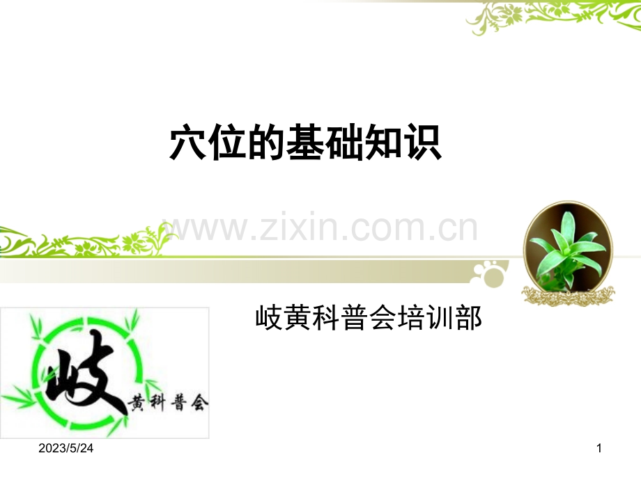 穴位的基础知识.ppt_第1页