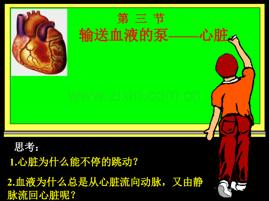 七年级生物心脏2.pptx_第1页