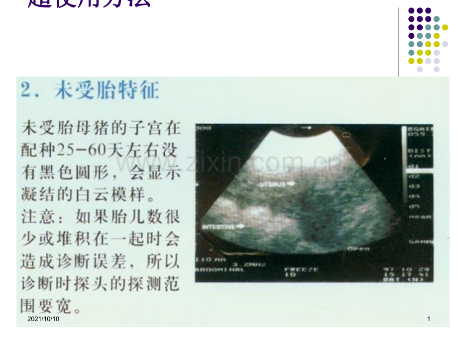 母猪怀孕时B超检测的图片.ppt_第1页