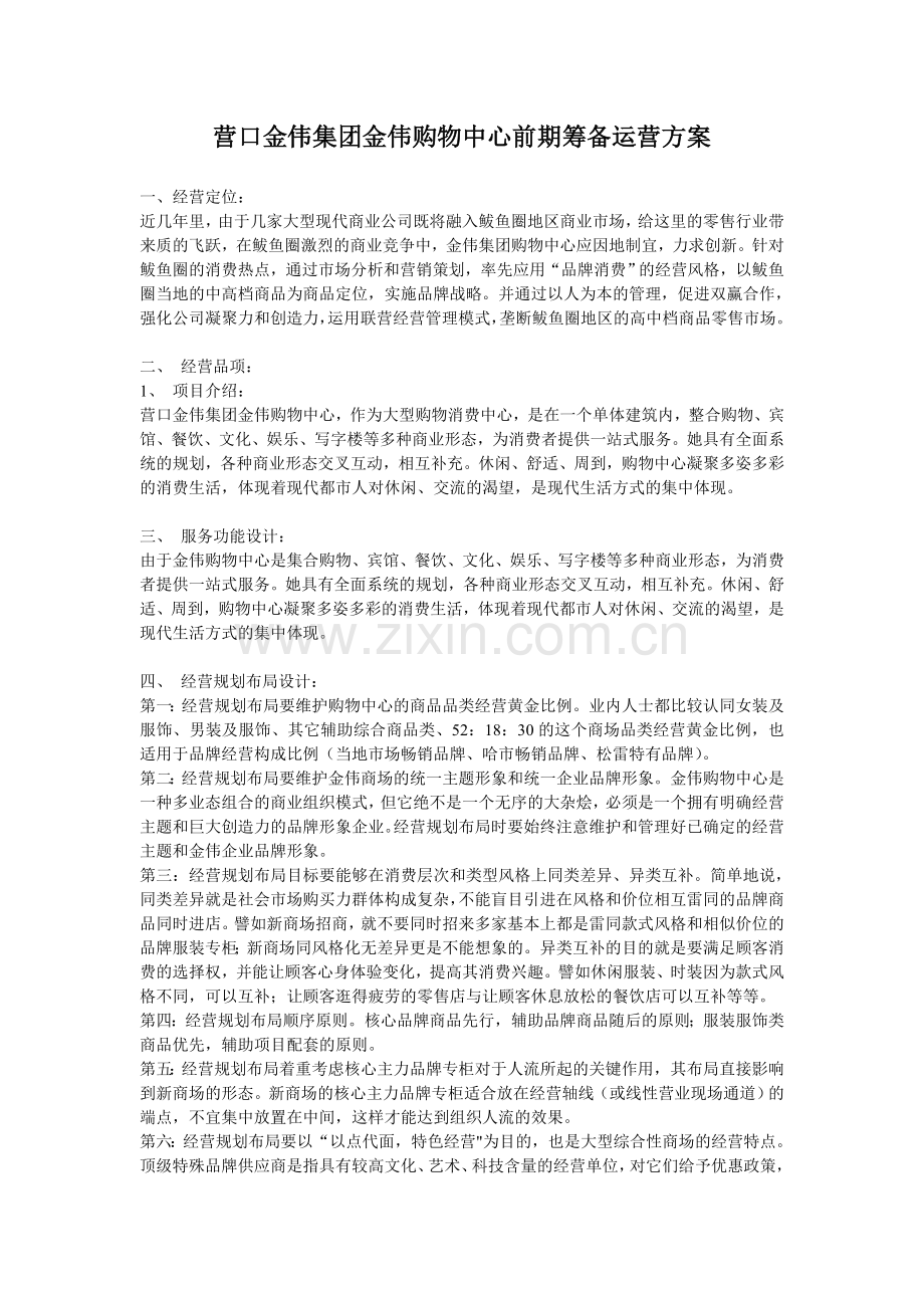 前期筹备运营方案.doc_第1页