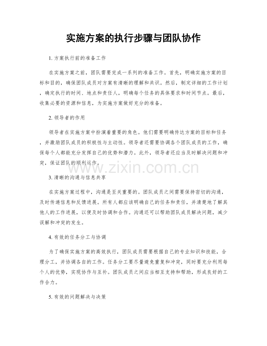 实施方案的执行步骤与团队协作.docx_第1页