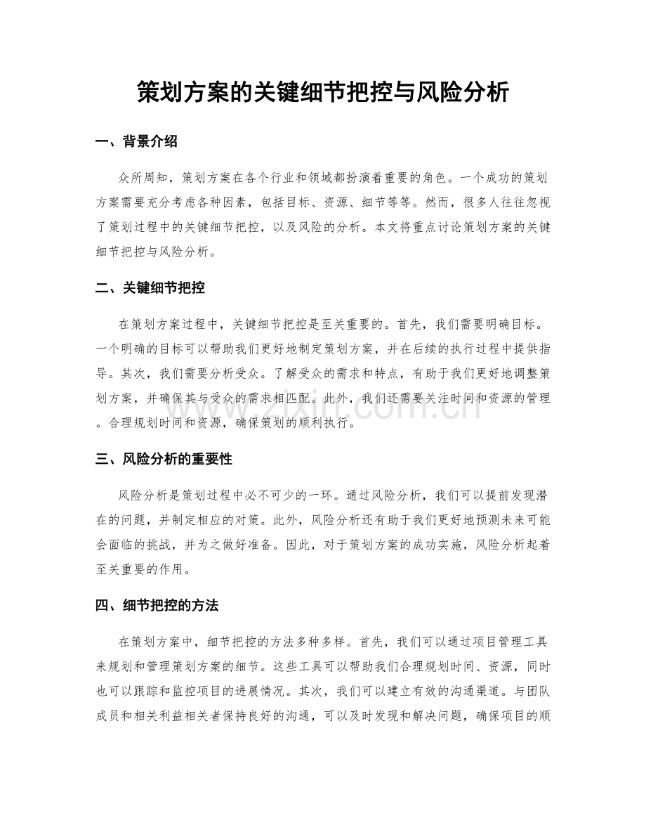 策划方案的关键细节把控与风险分析.docx_第1页