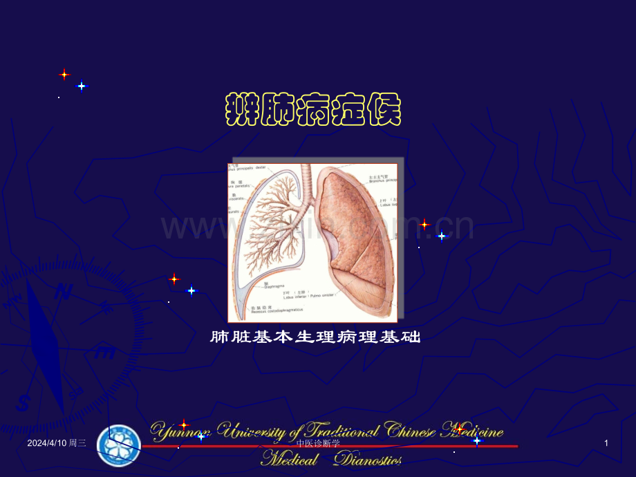 中医诊断学辨肺病证候.pptx_第1页