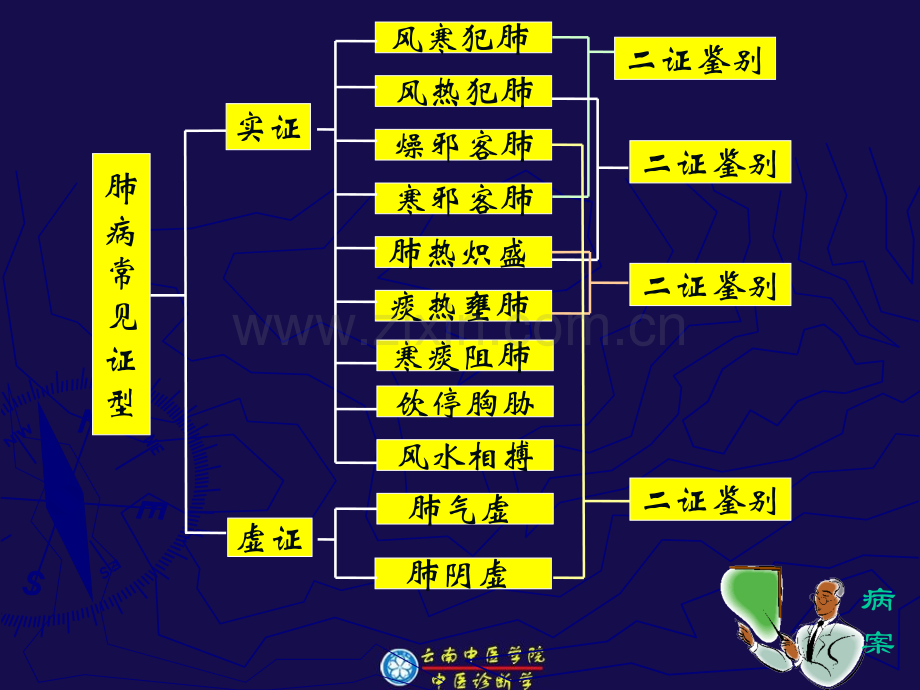 中医诊断学辨肺病证候.pptx_第2页