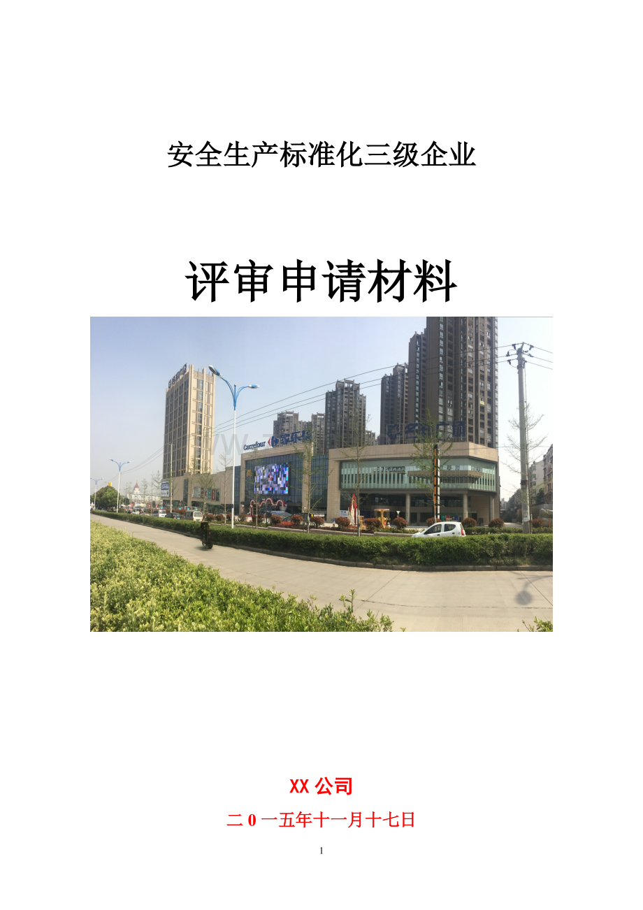 安全生产标准化自评报告模板.doc_第1页