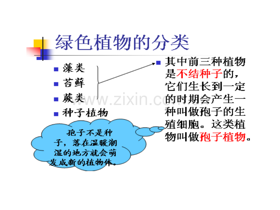 藻类苔藓和蕨类植物2.pptx_第2页