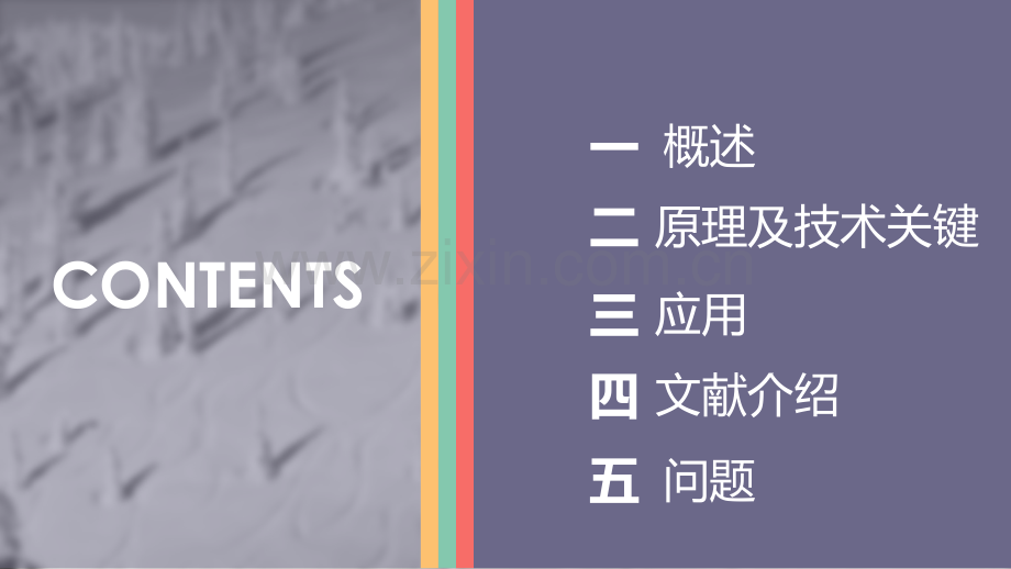 分子蒸馏技术及应用文献介绍.pptx_第2页