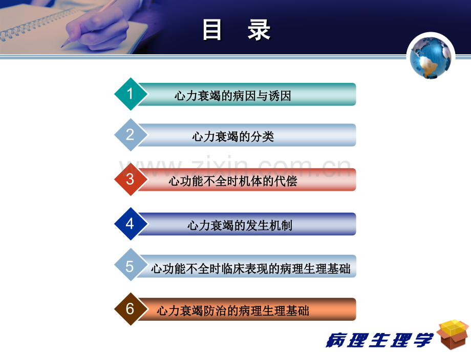 第八版病理生理学--第十三章-心力衰竭.ppt_第2页