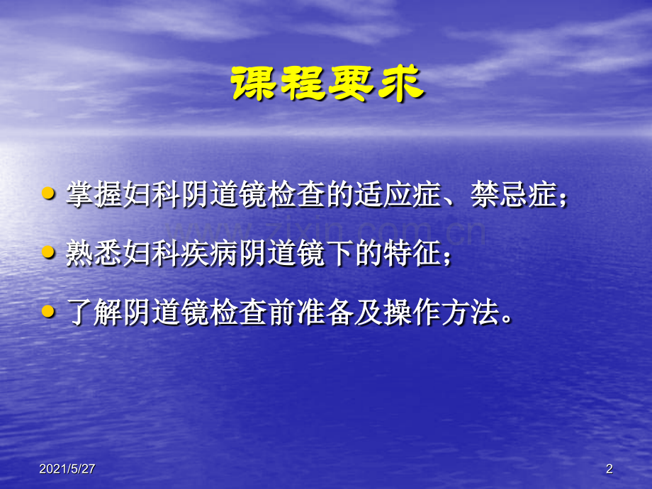 阴道镜检查图谱.ppt_第2页