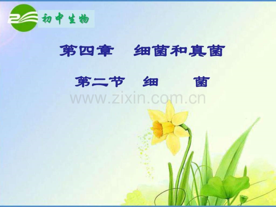 八年级生物细菌图文.pptx_第1页