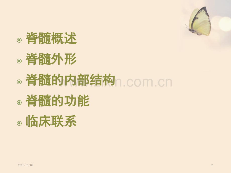 脊髓解剖与定位诊断.ppt_第2页