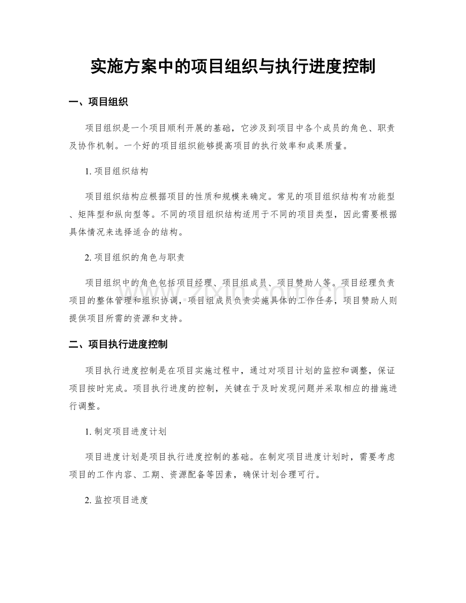 实施方案中的项目组织与执行进度控制.docx_第1页