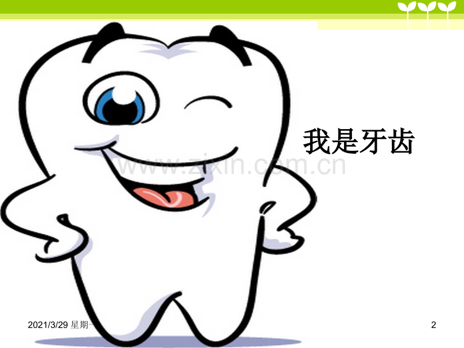 8-10岁儿童常见口腔疾病及预防.ppt_第2页