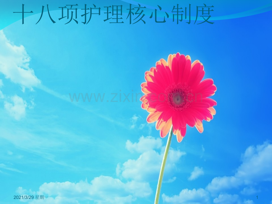 18项护理核心制度.ppt_第1页