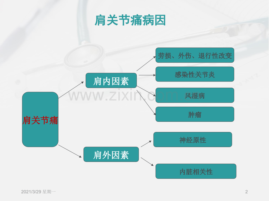 肩痛诊断与治疗.ppt_第2页